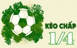 Kèo 1/4 là gì, tại sao bạn nên chọn loại hình cá cược này?